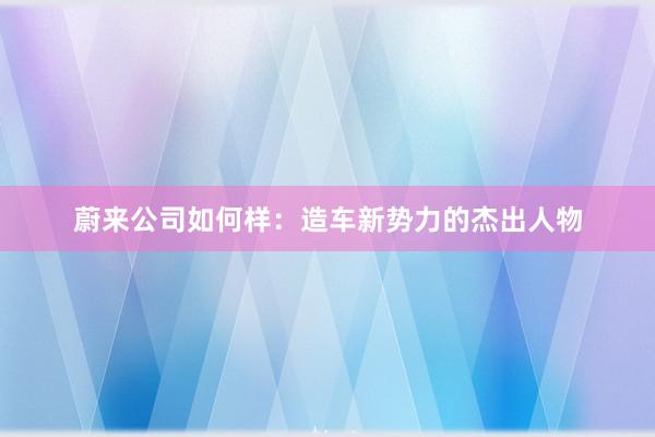 蔚来公司如何样：造车新势力的杰出人物