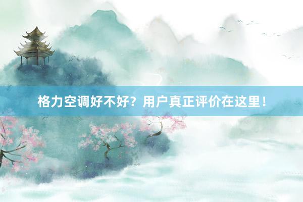 格力空调好不好？用户真正评价在这里！